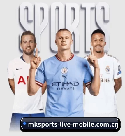 mk体育围绕看球场景设计的核心服务 - MKSports