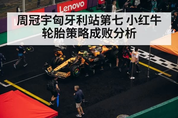 F1 pit stop strategy