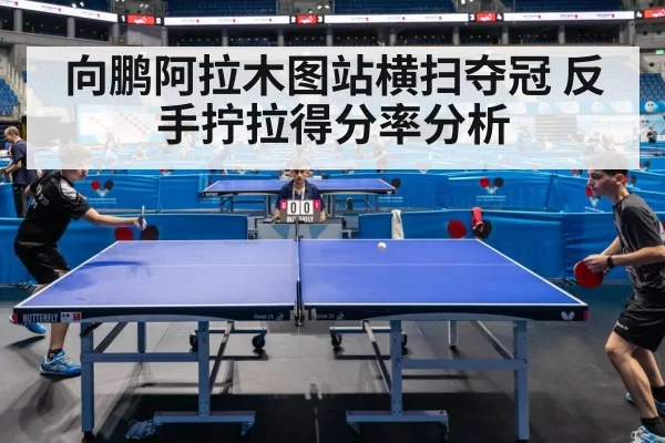 向鹏阿拉木图站横扫夺冠 反手拧拉得分率分析（MKSports）