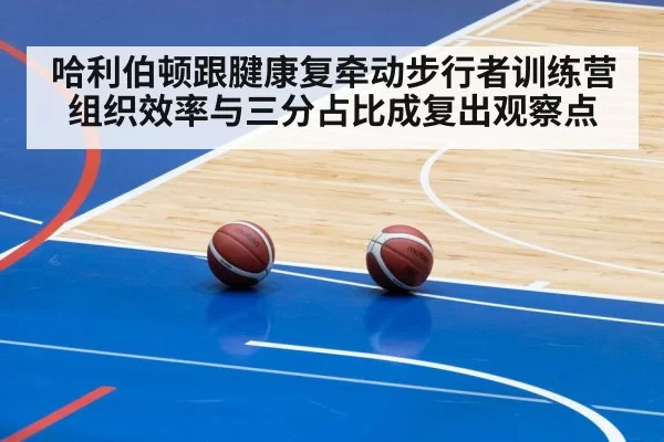 哈利伯顿跟腱康复牵动步行者训练营 组织效率与三分占比成复出观察点（MKSports）